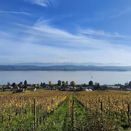 Kirchenfeld Apartment *