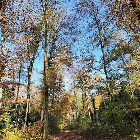 דירה Kirchenfeld