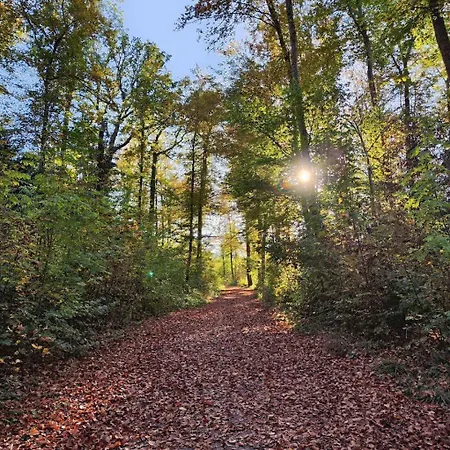 Kirchenfeld דירה ברן