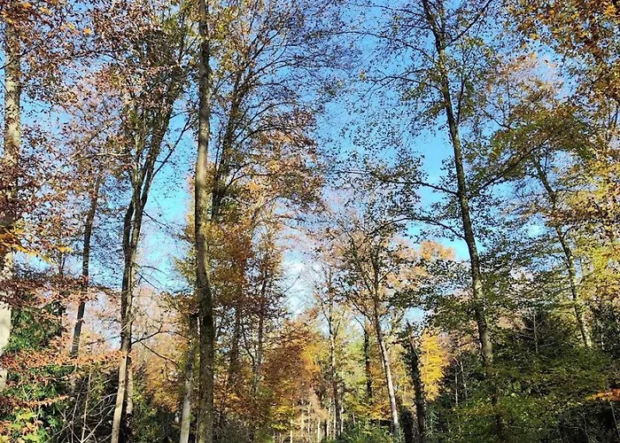 Apartment Kirchenfeld