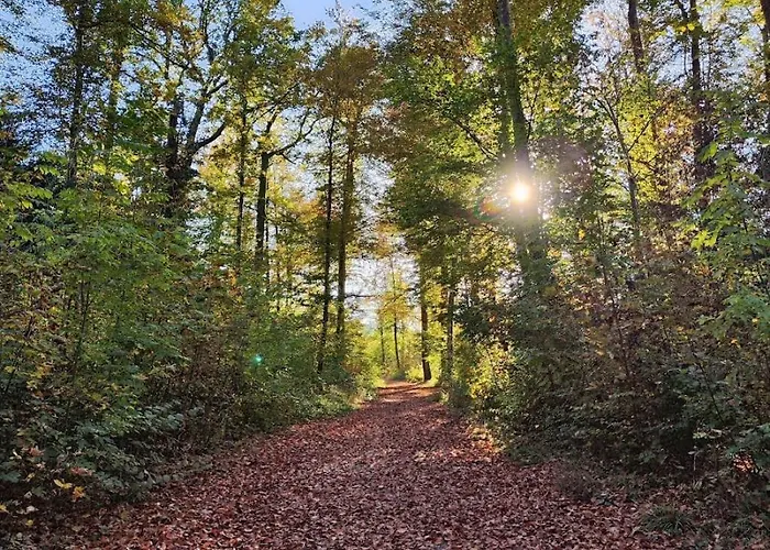 Kirchenfeld Apartment Bern